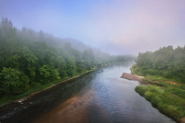 Mist in de vallei van de rivier Gauja — Stockfoto