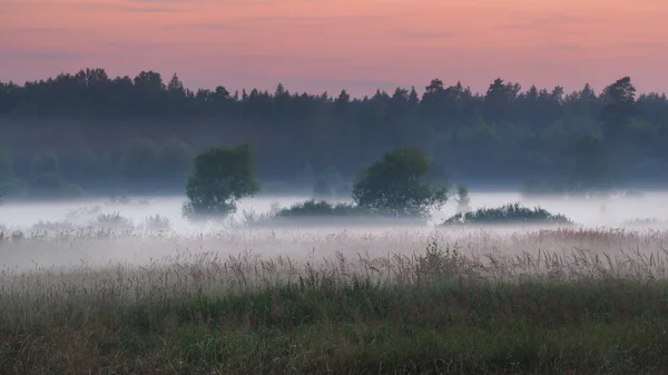 Champ brumeux au crépuscule — Photo