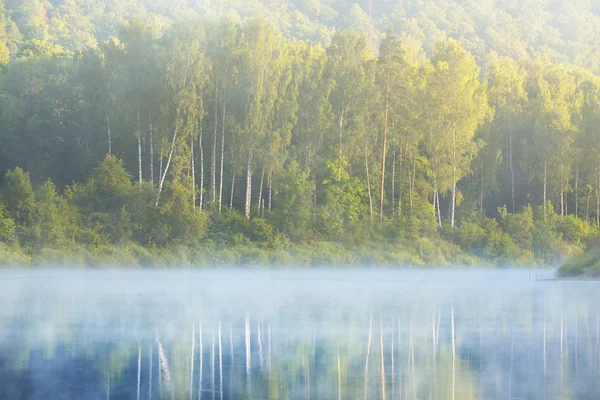 Salida del sol en un lago forestal Imagen de stock