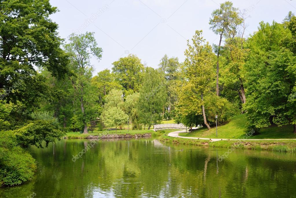 Lake in a summer park