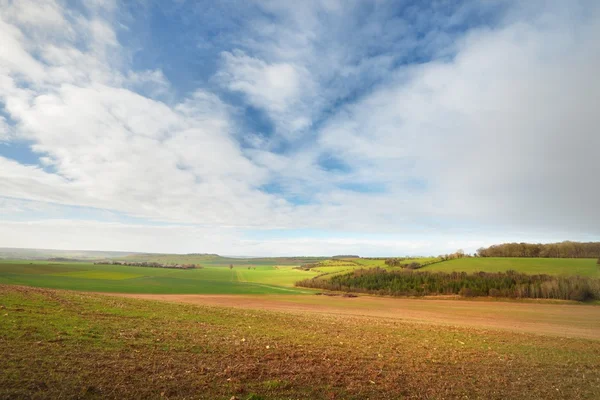 Field on the hills of Picardie — Stock Photo, Image