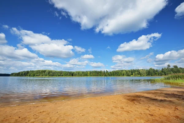 Lake shore e uma bela paisagem nublada — Fotografia de Stock