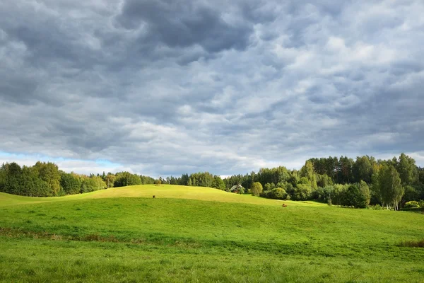 Field in the overcast day — Stock Photo, Image