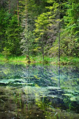 Nehirde Endla doğa parkı, Estonya