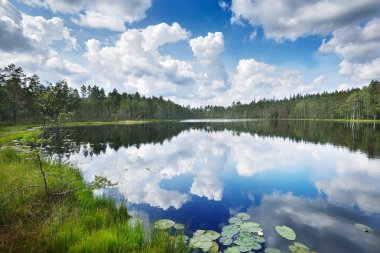 Finlandiya'da Saimaa Gölü