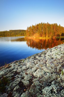 Finlandiya'da Saimaa Gölü