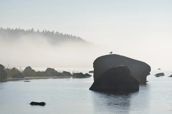 Rocks at the coast of Kasmu — Stock Photo, Image