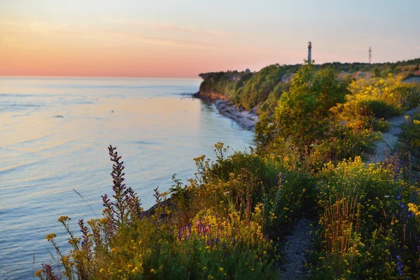 Falaises sur la côte à Paldiski — Photo