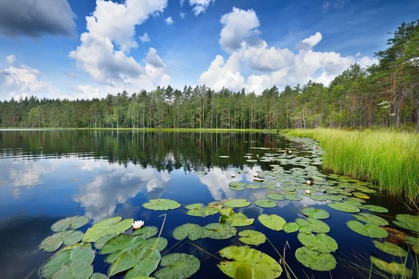 Lago Saimaa en Finlandia —  Fotos de Stock