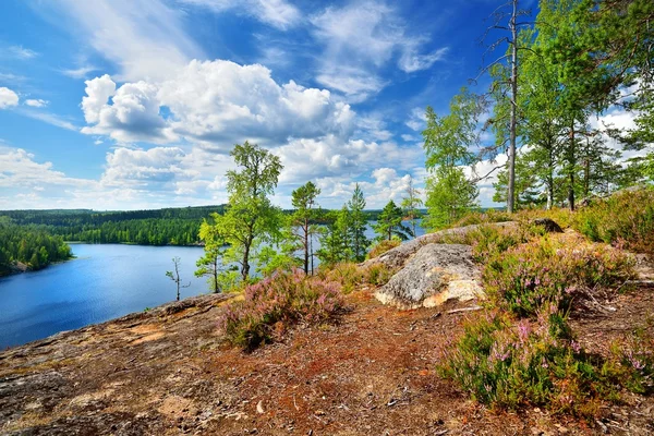 Saimaa 호수의 풍경 — 스톡 사진