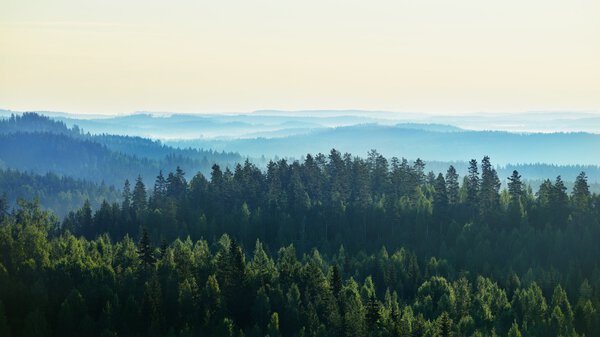 Пейзаж озера Сайма
