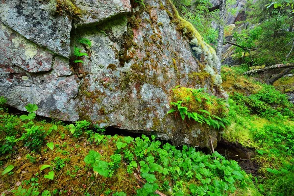 Rochers de granit en Finlande — Photo