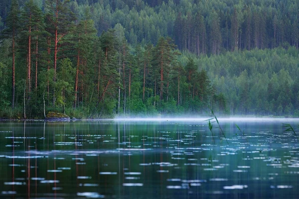 Nad jeziorem Saimaa w Finlandii — Zdjęcie stockowe