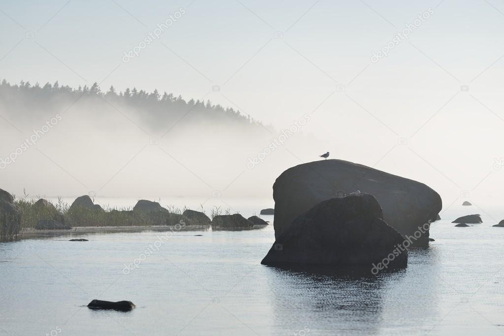 Rocks at the coast of Kasmu