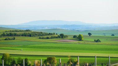 Plafz kırsal alanda
