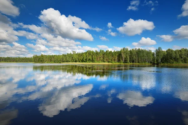 Vackra sjön i Estland — Stockfoto