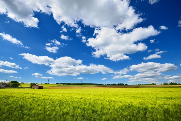 Plafz kırsal alanda — Stok fotoğraf