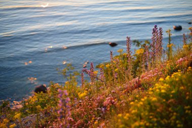 Paldiski sahilinde kayalıklarla