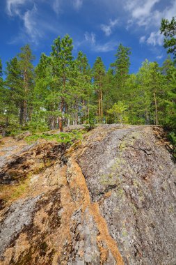 Finlandiya'da Granit kayalar üzerinde orman