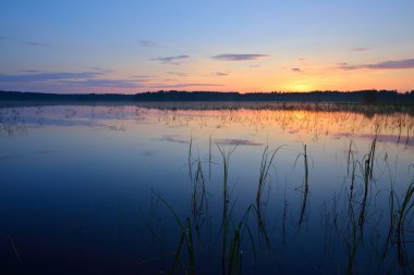 Finlandiya'da Saimaa Gölü