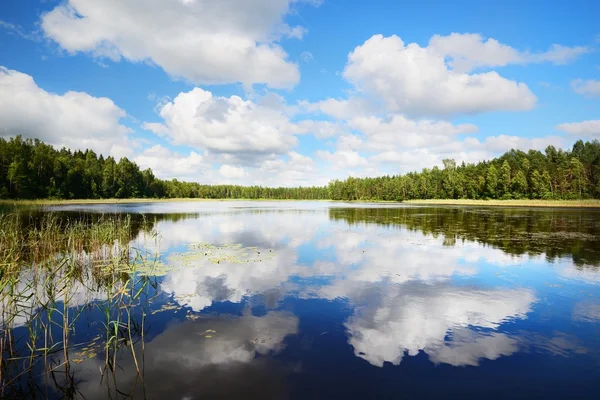 Beau lac en Estonie — Photo