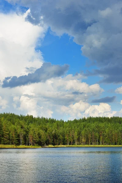 Saimaa lake in Finland — Stockfoto