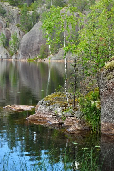 See im Regen in Norwegen. Weg zum Geirangerfjord — Stockfoto © Coy