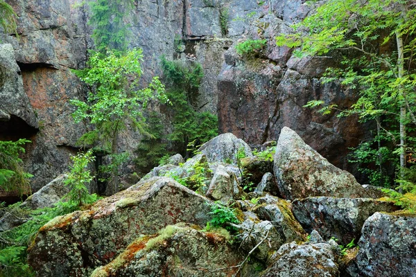 Floresta em rochas de granito na Finlândia — Fotografia de Stock