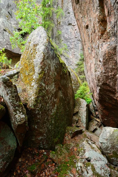 Rochas de granito na floresta — Fotografia de Stock