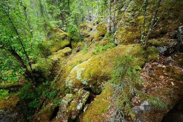 Floresta em rochas de granito na Finlândia — Fotografia de Stock