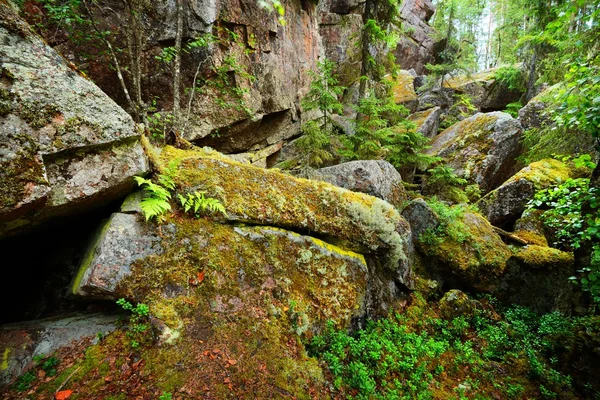 Ліс на гранітні скелі в Фінляндії — стокове фото