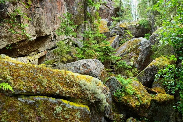Ліс на гранітні скелі в Фінляндії — стокове фото