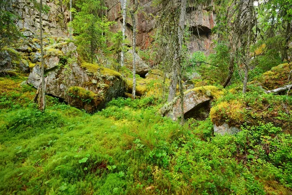 Floresta em rochas de granito na Finlândia — Fotografia de Stock