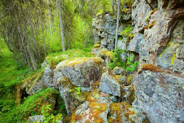 Леса на гранитных породах Финляндии — стоковое фото
