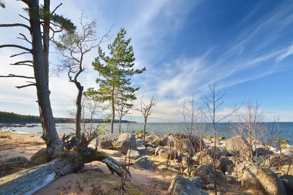 Rocks at the coast of Kasmu — Stock Photo, Image