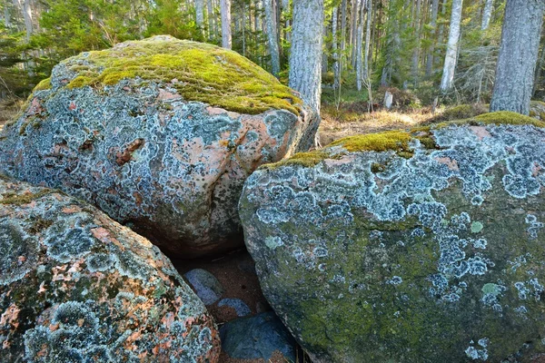Felsen im Wald bei Kasmu — Stockfoto