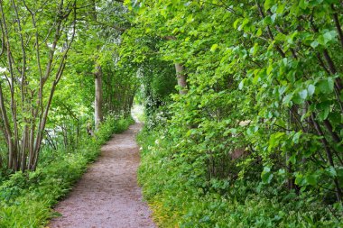 Geçit Stochemhoeve orman Park