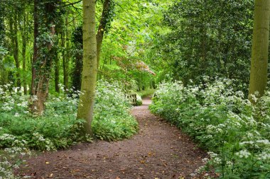 Geçit Stochemhoeve orman Park