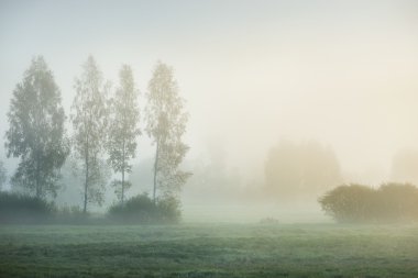 sabah sis alanının üstündeki