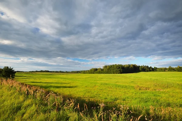 Agriculture field in the countryside — Stock Photo, Image