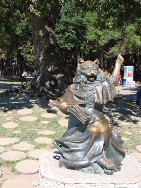 Gelendzhik, Rusya - 28 Ağustos 2011: Kedi fotoğraf bilim adamı.