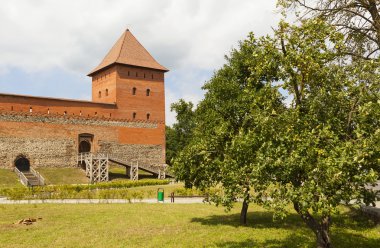 Lida Castle (şafak). Belarus.
