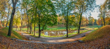 Parkta sonbahar, dökülen yapraklarla sahne