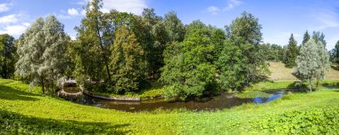 Bereketli yeşil park manzarası