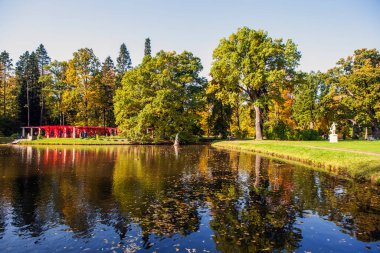 Gölette yansıyan ağaçlarla dolu sonbahar parkı 