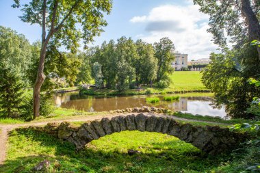 Bereketli yeşil park manzarası