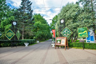 Bereketli yeşil park manzarası