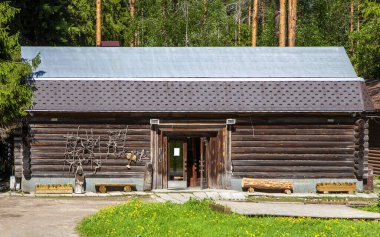 Güneşli yeşil sahnede ahşap ev