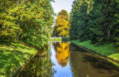 Gölette yansıyan ağaçlarla dolu sonbahar parkı 