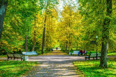 Sarı ve yeşil ağaçlı güzel sonbahar parkındaki bankta oturan insanlar.